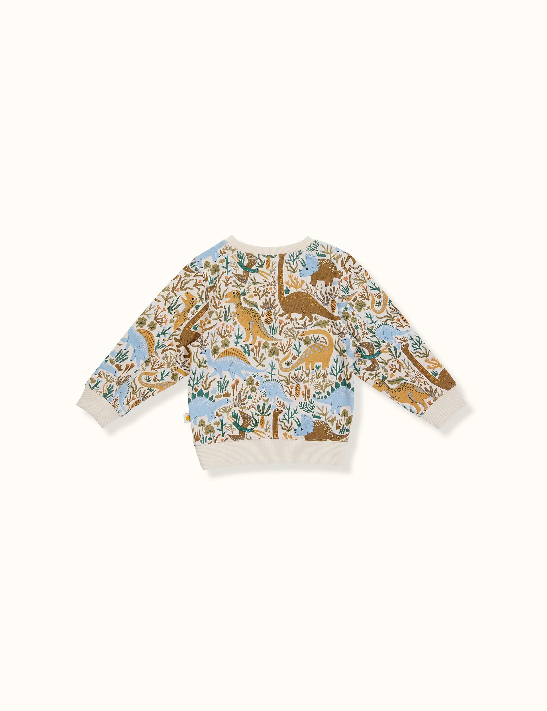 Dino Roar Terry Sweater - blue