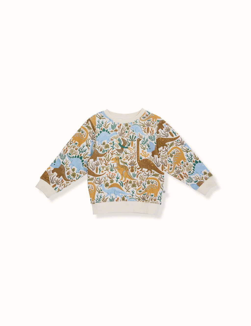 Dino Roar Terry Sweater - blue