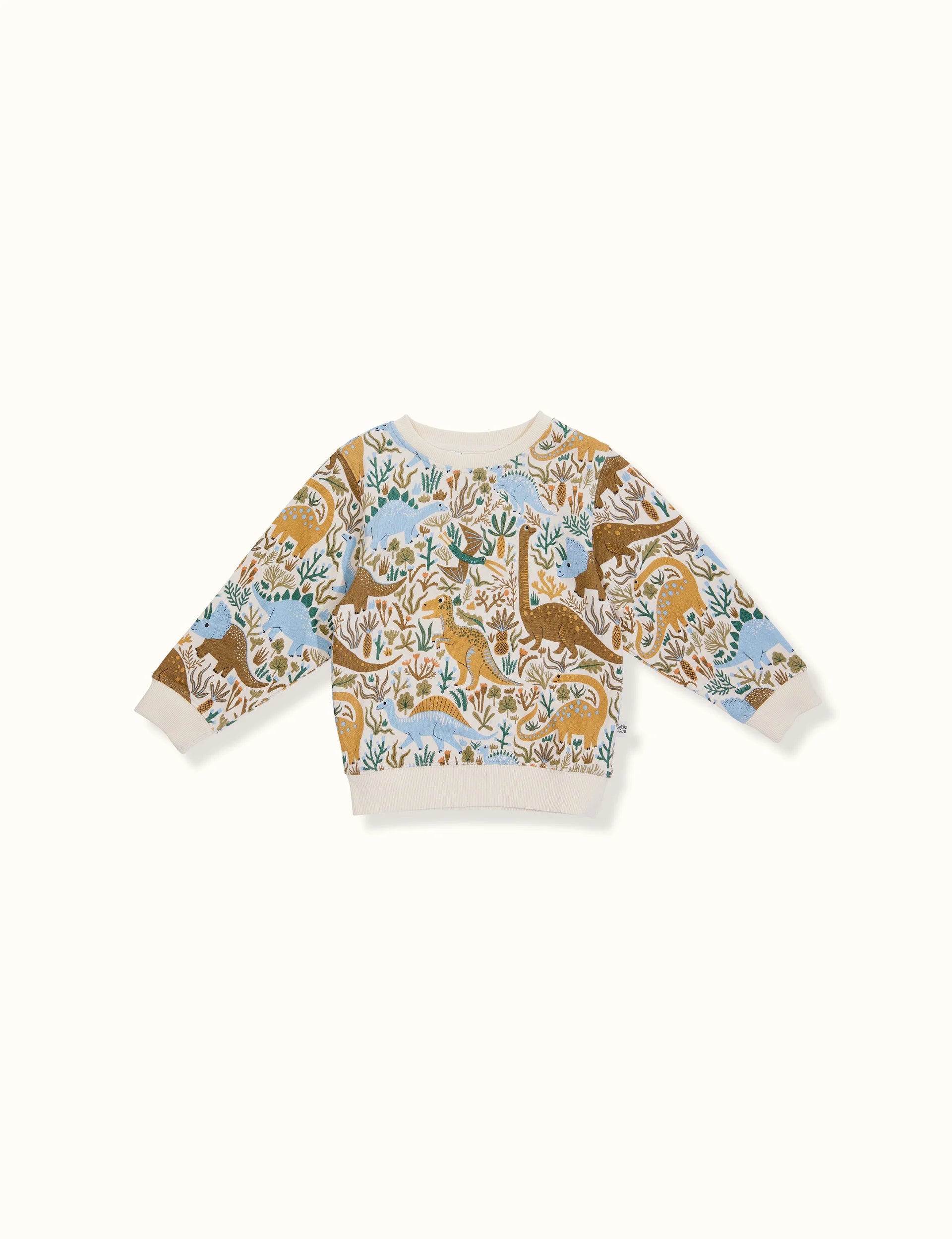 Dino Roar Terry Sweater - blue